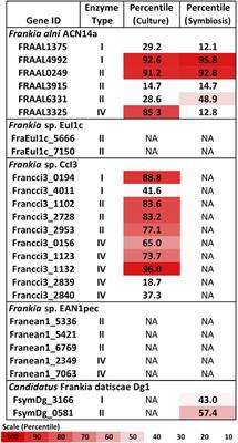 A Stable Genetic Transformation System and Implications of the Type IV Restriction System in the Nitrogen-Fixing Plant Endosymbiont Frankia alni ACN14a